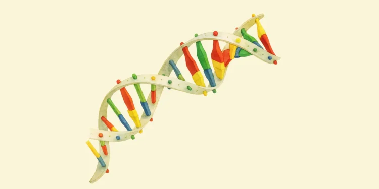 Pendidikan, STEM, dan Cermin Kebudayaan Kita