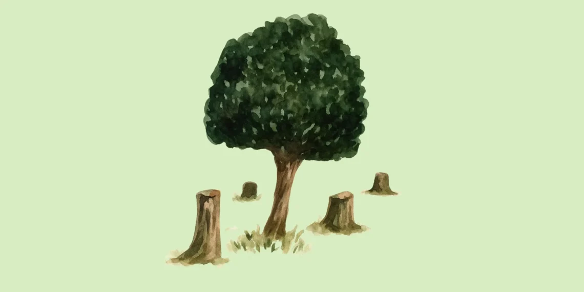 Ketika Negeri Menjual Paru-Paru, Lalu Bangga Bisa Membeli Mobil Sebagai Gantinya